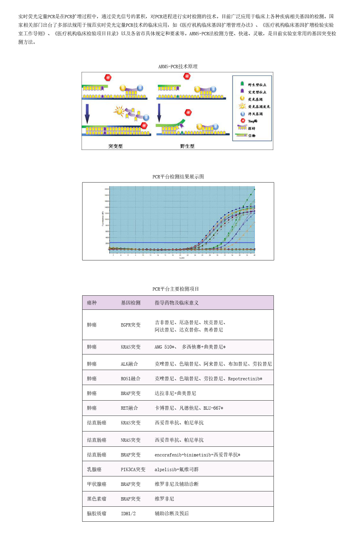 4檢測項目-PCR.jpg